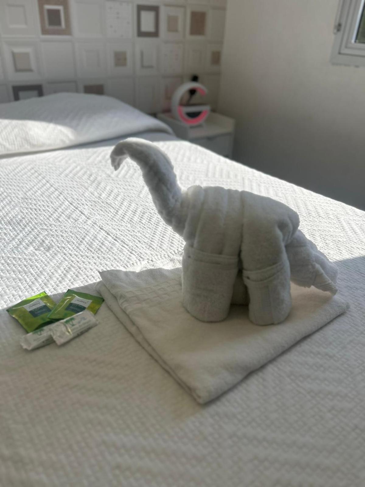 55 Smart Hotel ジョインヴィレ エクステリア 写真